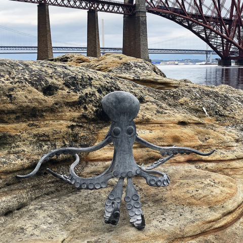Oscar the Octopus! Forged from mild steel, galvanised and acid etched finish. Designed and created by Edinburgh Artist Blacksmith Shona Johnson.